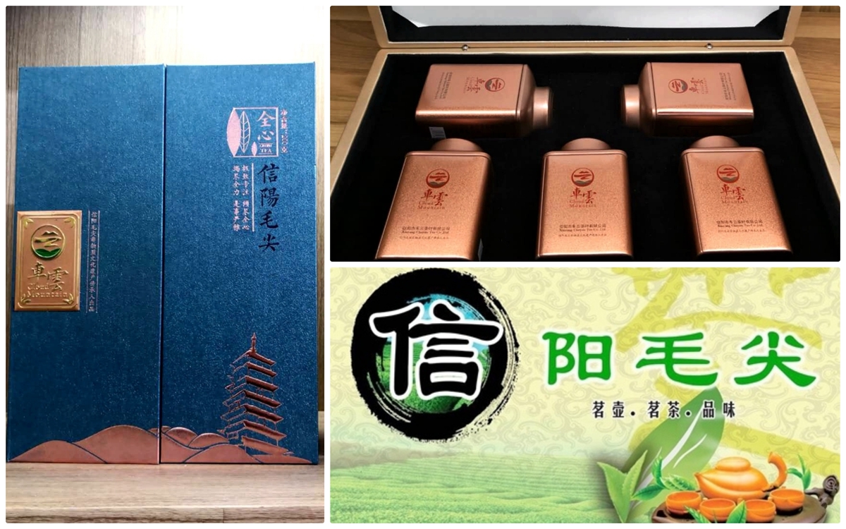 1576485722137387.jpg 信陽毛尖.jpg